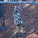 Special Forces Candidates Tackle Obstacle Course