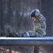 Special Forces Candidates Tackle Obstacle Course