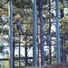 Special Forces Candidates Tackle Obstacle Course