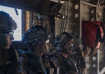 13th MEU Participates in Vertical Assault Course