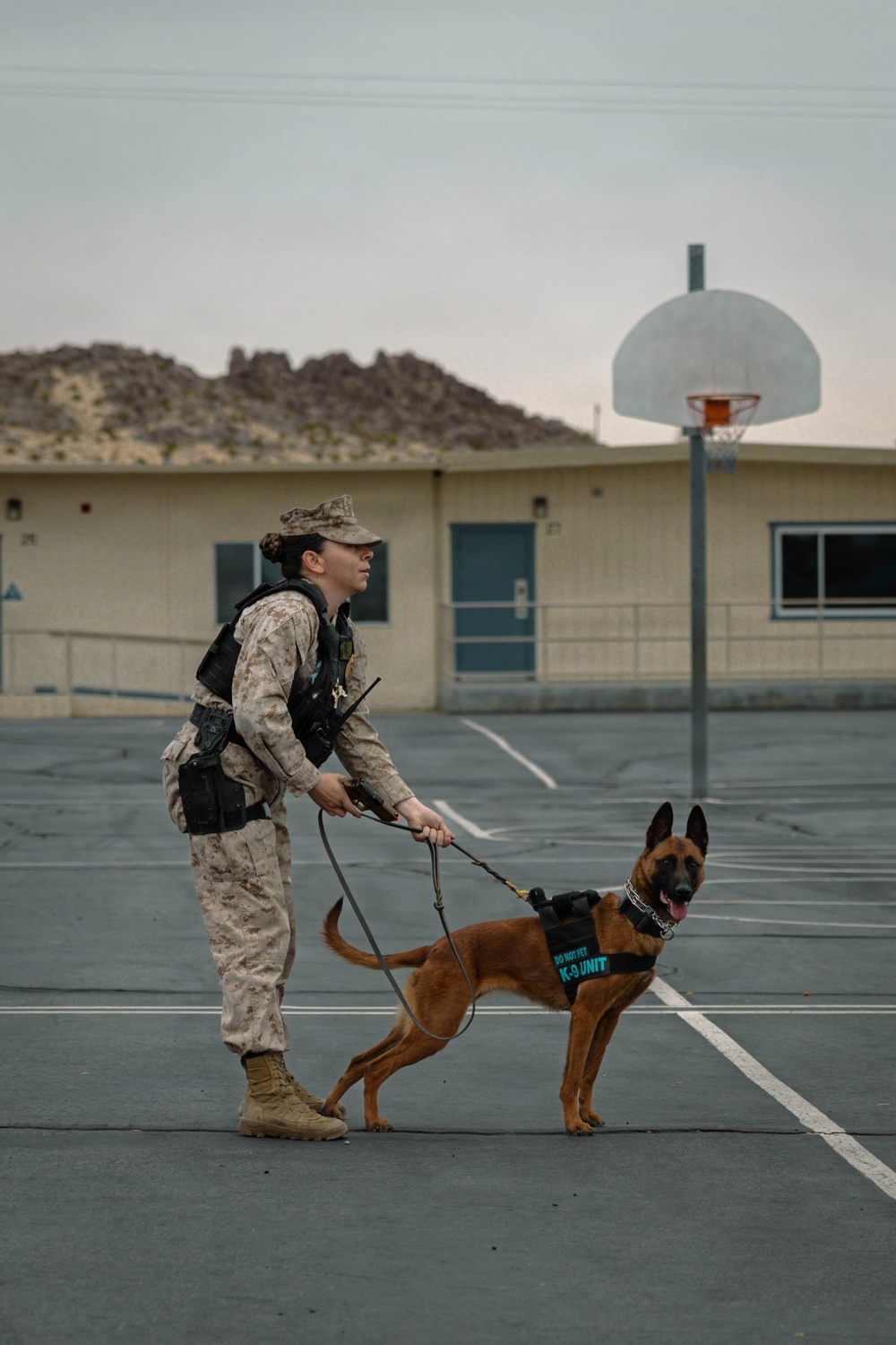 MCAGCC Conducts Active Shooter Drill