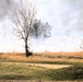 Spring prescribed burns renew training lands, ecosystems at Fort McCoy