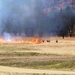 Spring prescribed burns renew training lands, ecosystems at Fort McCoy
