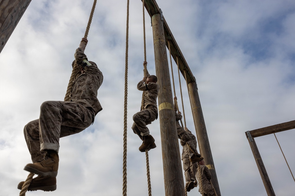 Fox Company O-Course