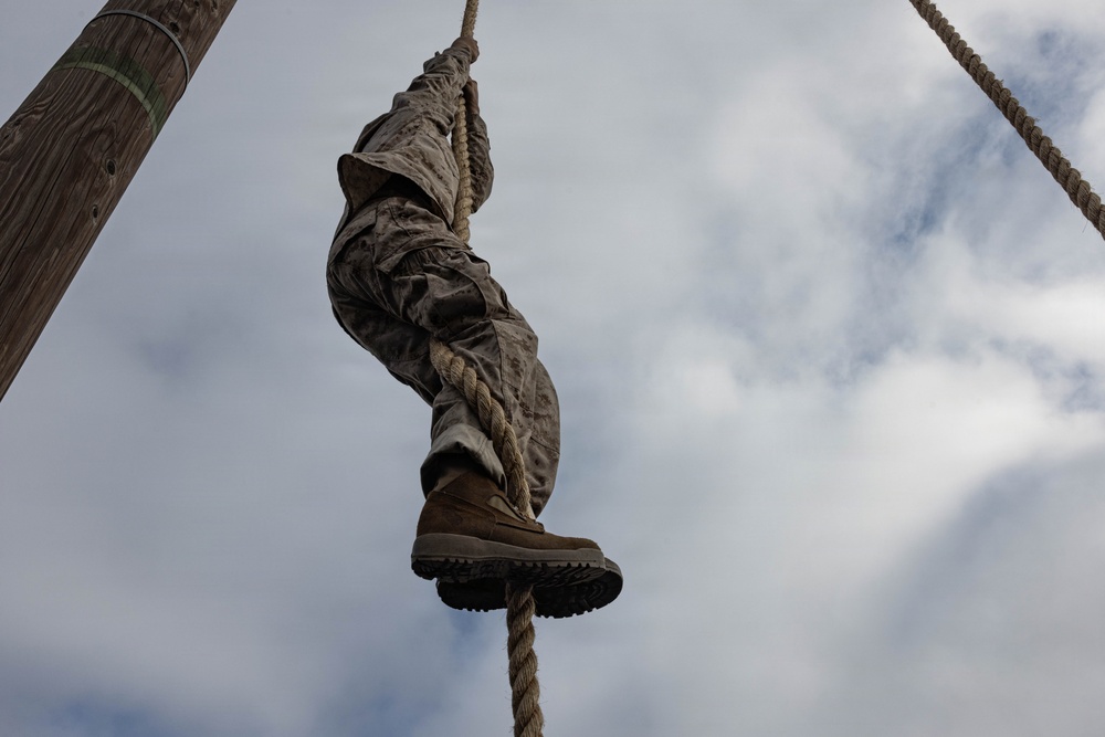 Fox Company O-Course