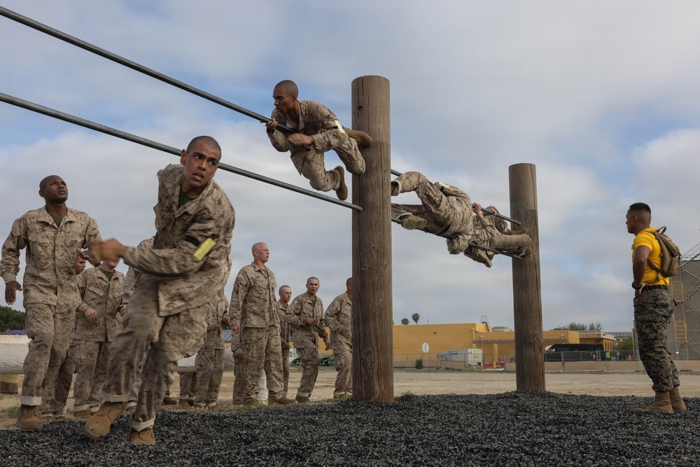 Fox Company O-Course