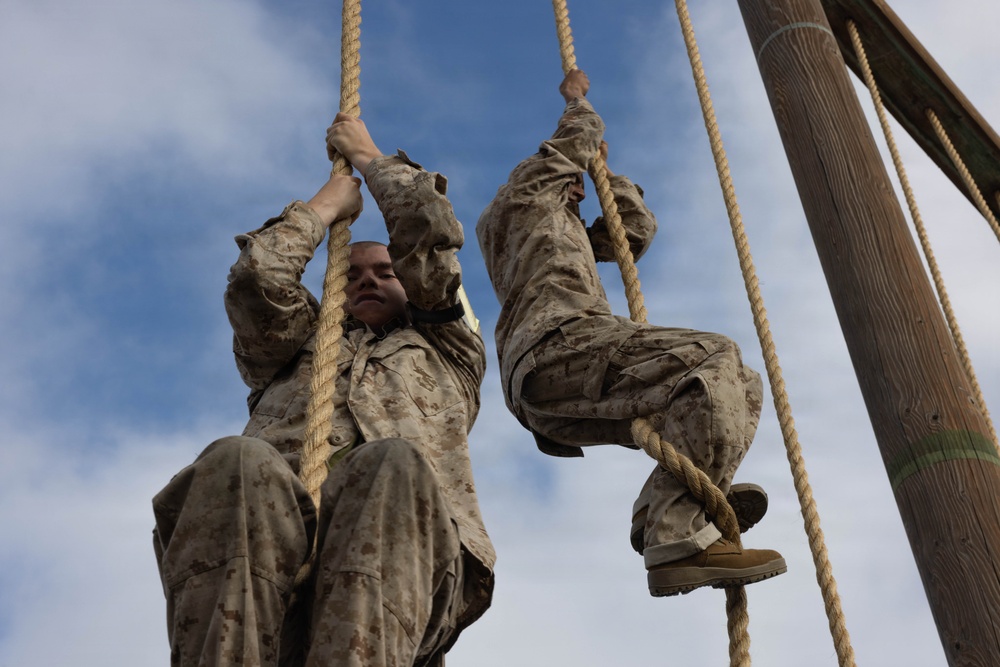 Fox Company O-Course