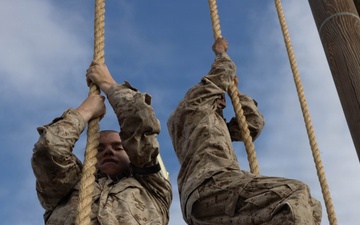 Fox Company O-Course