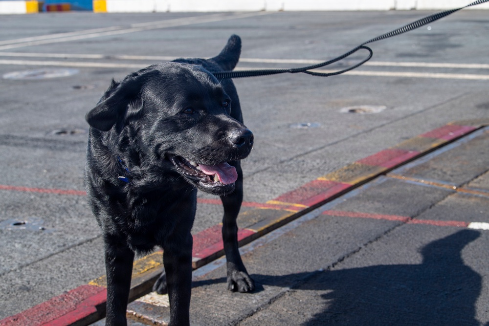 Nimitz Conducts Flight Deck PT