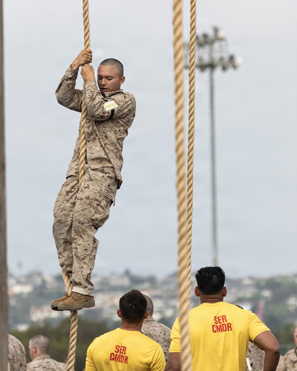 Fox Company O-Course