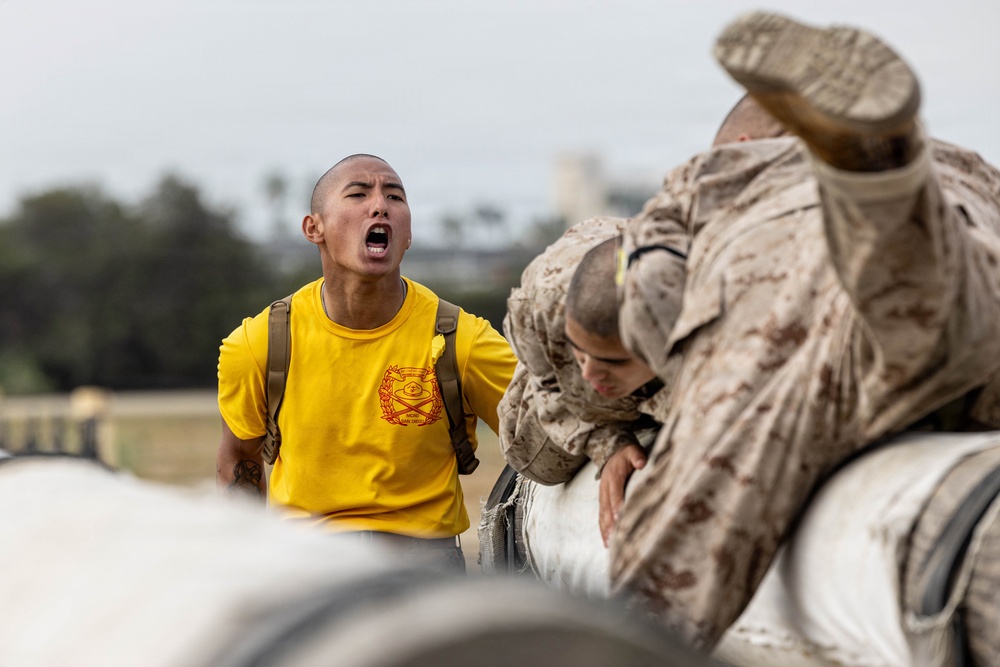 Fox Company O-Course