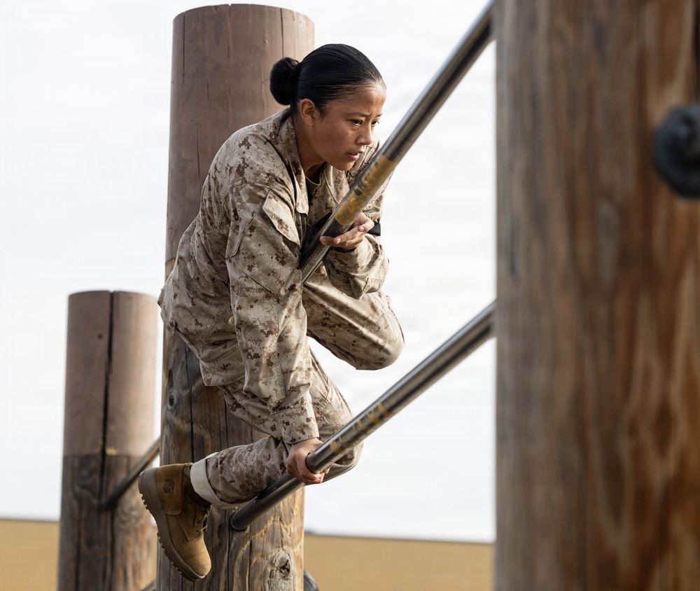 Fox Company O-Course