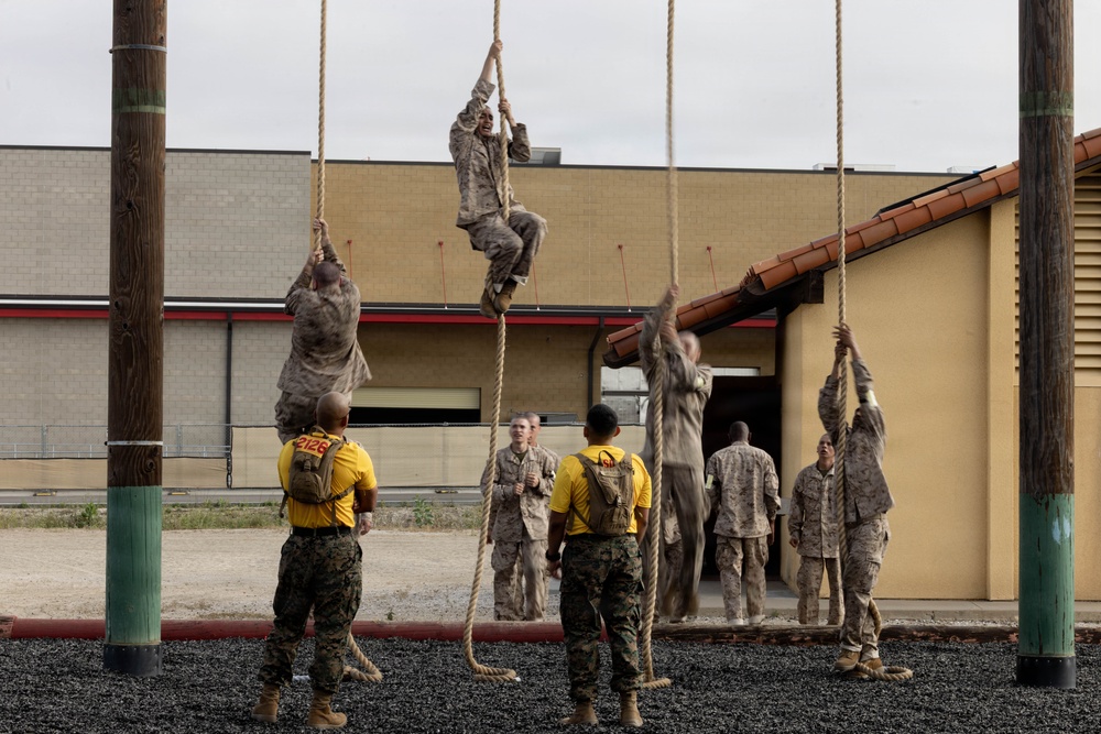 Fox Company O-Course