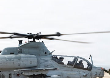 HMLA-369 assists in bilateral K-9 flight training