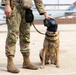 HMLA-369 assists in bilateral K-9 flight training