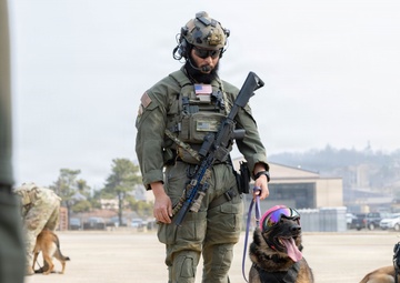 HMLA-369 assists in bilateral K-9 flight training
