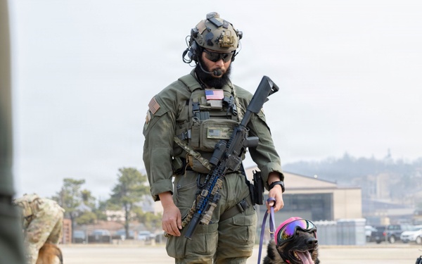 HMLA-369 assists in bilateral K-9 flight training