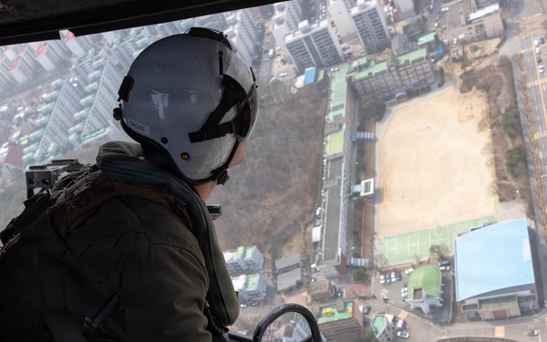 HMLA-369 assists in bilateral K-9 flight training