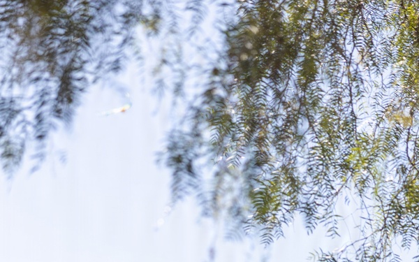 Marines with CLR-1 Visit Local Elementary School for Month of the Military Child