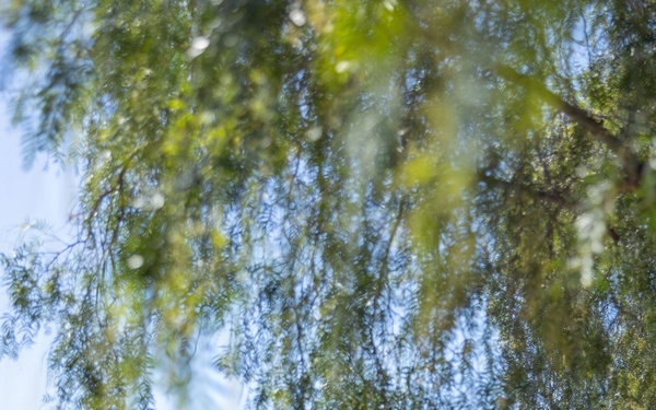 Marines with CLR-1 Visit Local Elementary School for Month of the Military Child