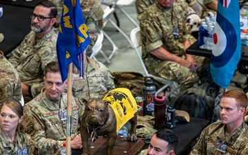 2026 Port Dawg Challenge