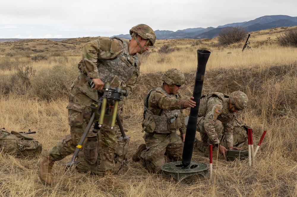Mortar Platoon, Headquarters and Headquarters Company, 4th Battalion, 9th Infantry Regiment
