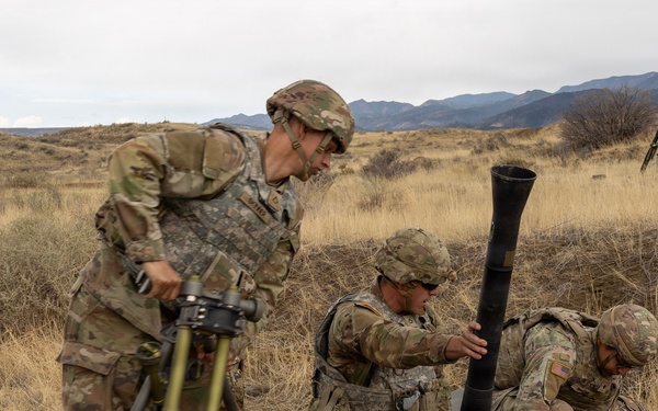 Mortar Platoon, Headquarters and Headquarters Company, 4th Battalion, 9th Infantry Regiment