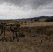 Mortar Platoon, Headquarters and Headquarters Company, 4th Battalion, 9th Infantry Regiment