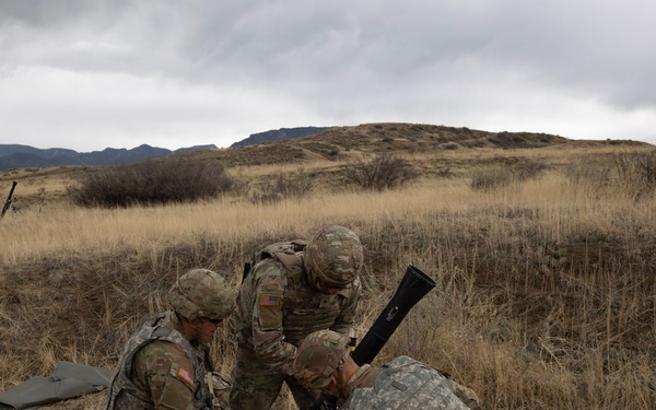 Mortar Platoon, Headquarters and Headquarters Company, 4th Battalion, 9th Infantry Regiment