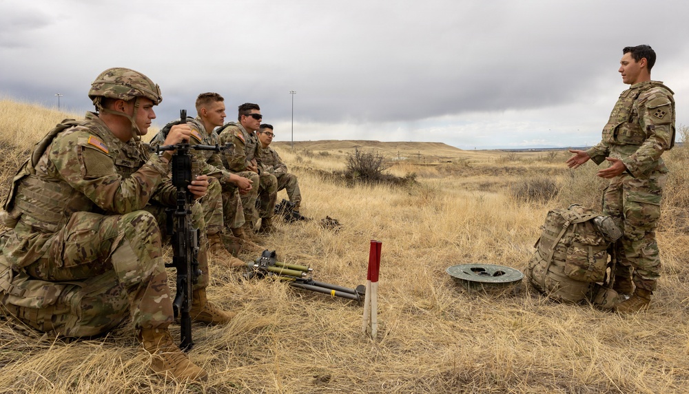 Mortar Platoon, Headquarters and Headquarters Company, 4th Battalion, 9th Infantry Regiment