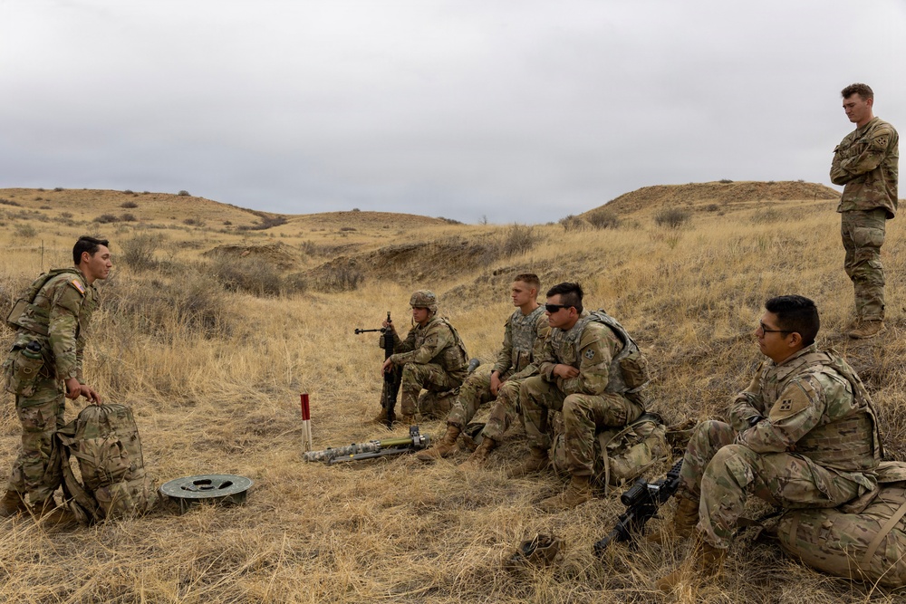 Mortar Platoon, Headquarters and Headquarters Company, 4th Battalion, 9th Infantry Regiment