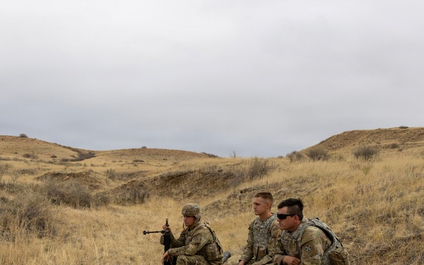 Mortar Platoon, Headquarters and Headquarters Company, 4th Battalion, 9th Infantry Regiment