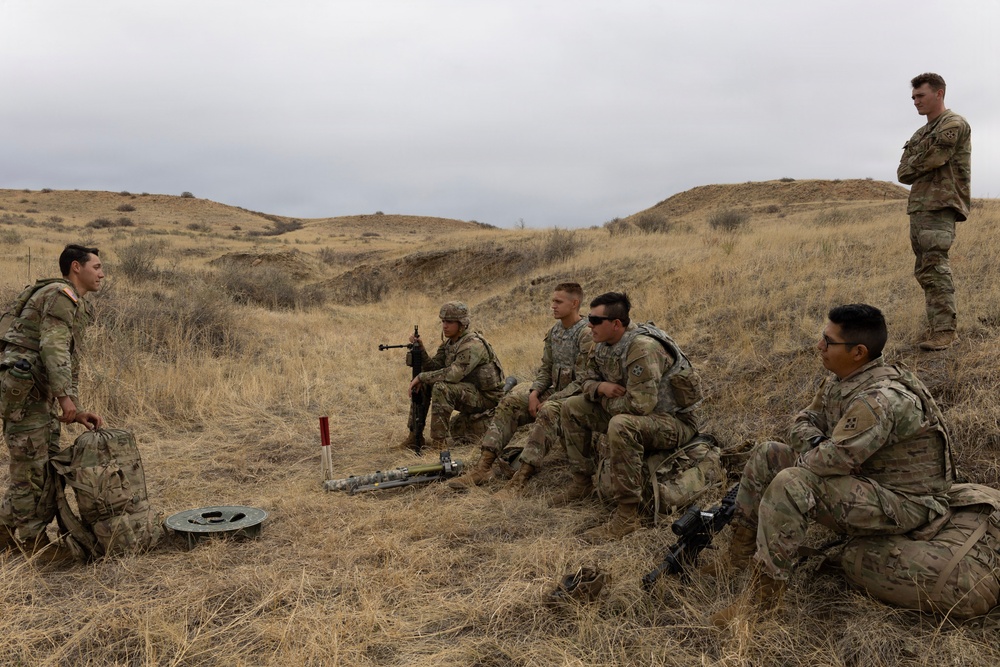 Mortar Platoon, Headquarters and Headquarters Company, 4th Battalion, 9th Infantry Regiment