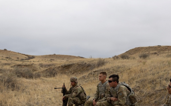 Mortar Platoon, Headquarters and Headquarters Company, 4th Battalion, 9th Infantry Regiment