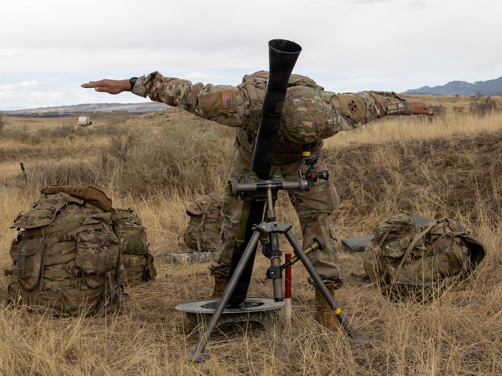 Mortar Platoon, Headquarters and Headquarters Company, 4th Battalion, 9th Infantry Regiment