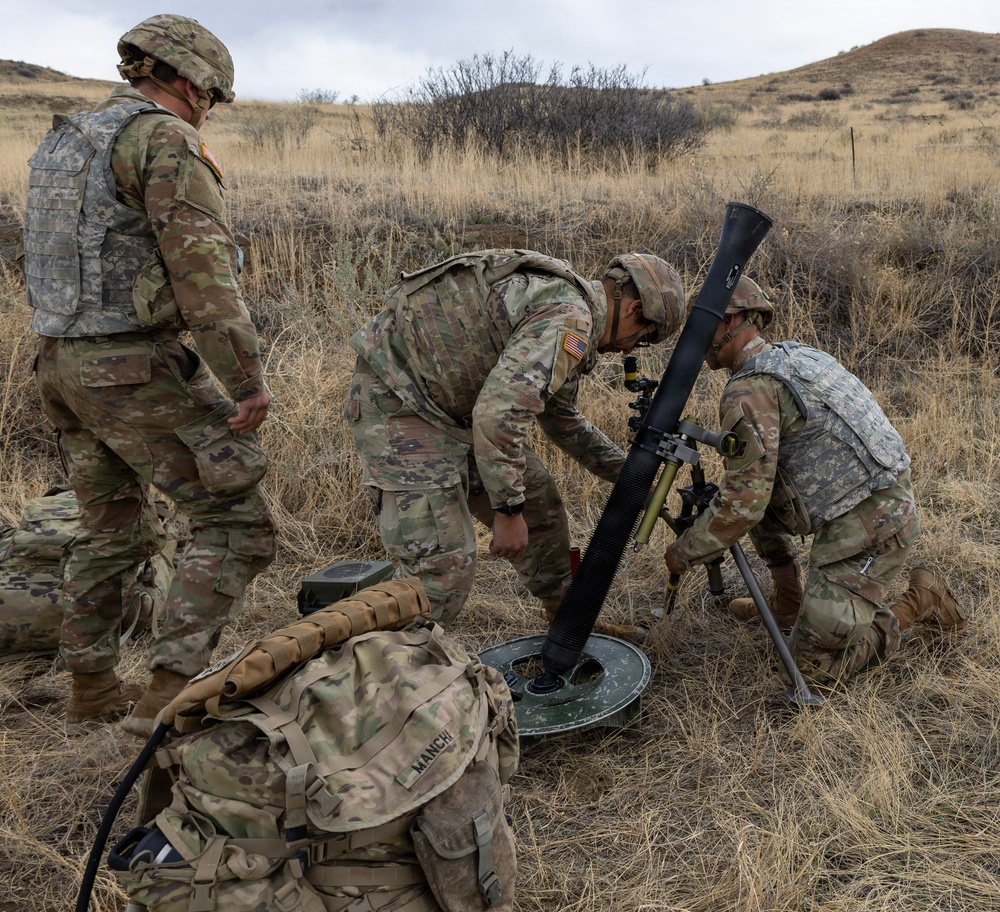 Mortar Platoon, Headquarters and Headquarters Company, 4th Battalion, 9th Infantry Regiment