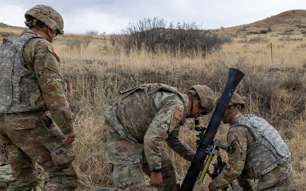 Mortar Platoon, Headquarters and Headquarters Company, 4th Battalion, 9th Infantry Regiment