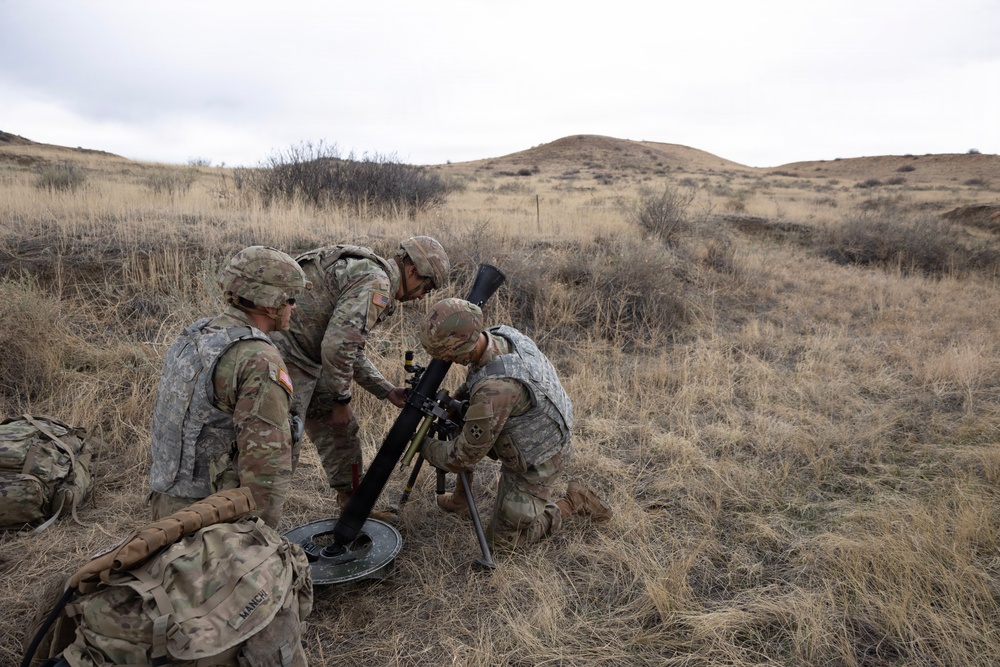 Mortar Platoon, Headquarters and Headquarters Company, 4th Battalion, 9th Infantry Regiment