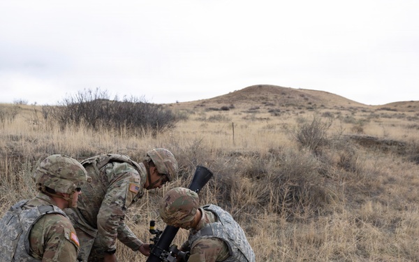 Mortar Platoon, Headquarters and Headquarters Company, 4th Battalion, 9th Infantry Regiment
