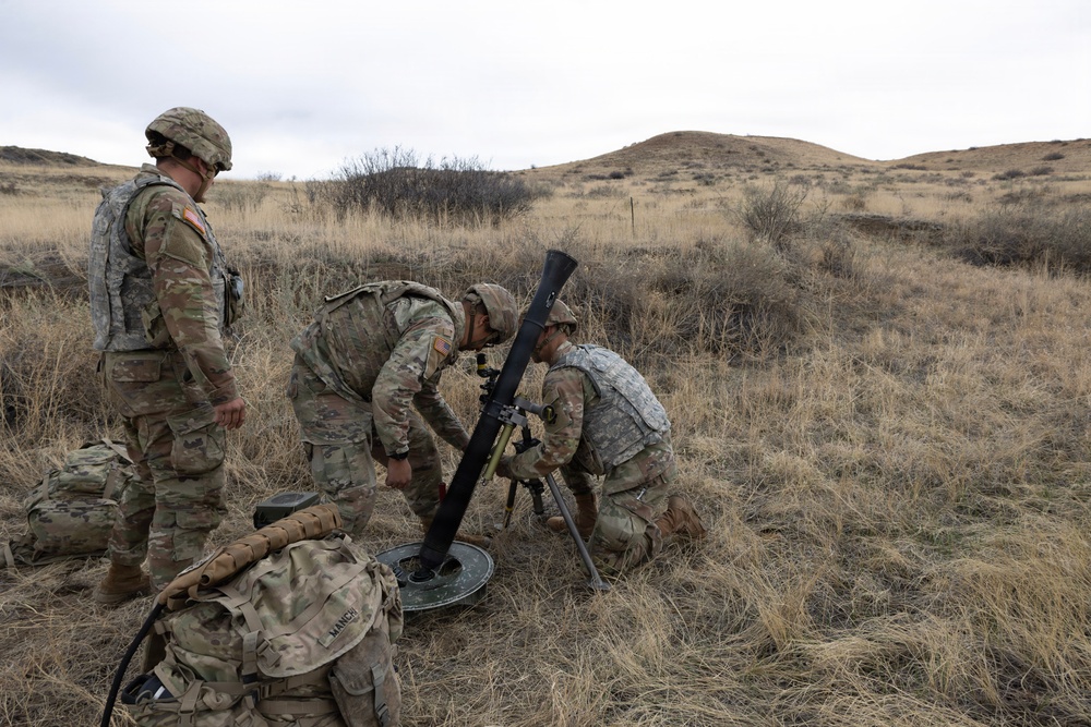 Mortar Platoon, Headquarters and Headquarters Company, 4th Battalion, 9th Infantry Regiment