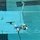 Dahlgren School students pilot ROV during SeaPerch regional competition