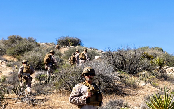 2nd Marine Logistics Group leadership patrols Southern Border