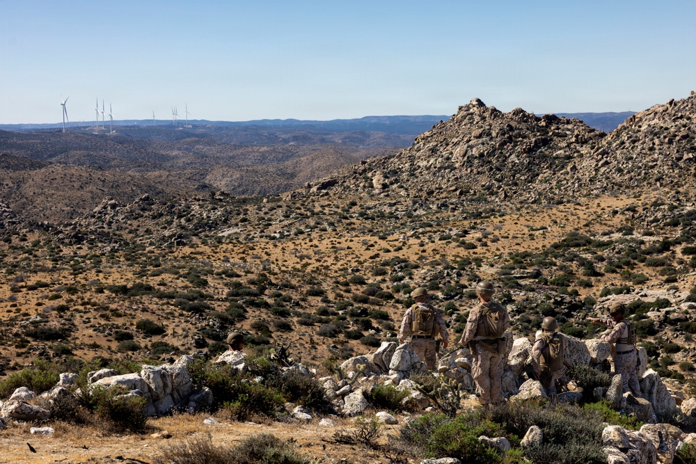 2nd Marine Logistics Group leadership patrols Southern Border