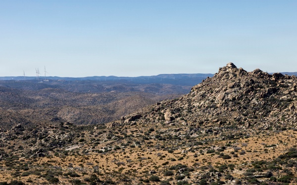 2nd Marine Logistics Group leadership patrols Southern Border