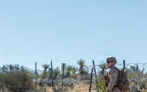 2nd Marine Logistics Group leadership patrols Southern Border