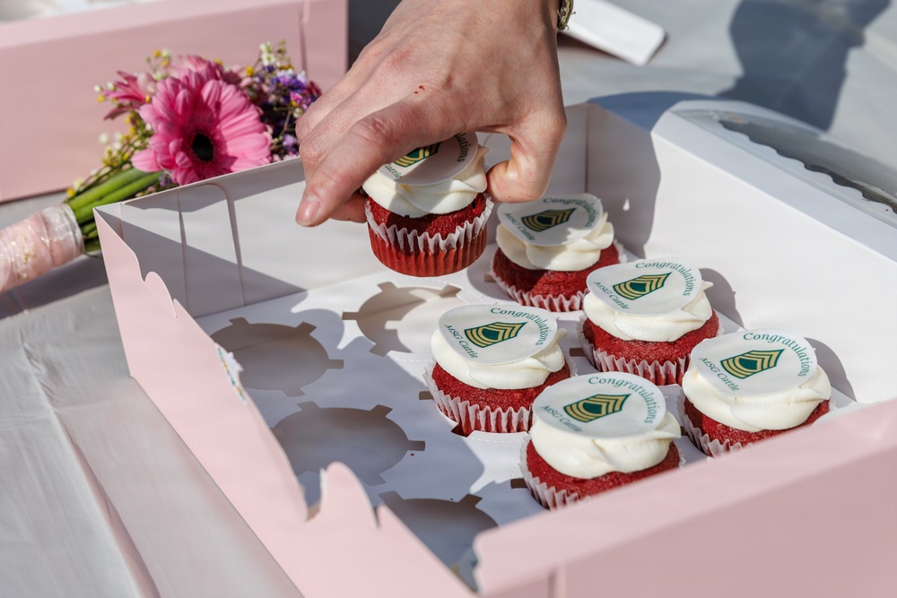 U.S. Army Reserve Master Sgt. Jessica Cattle Promotes