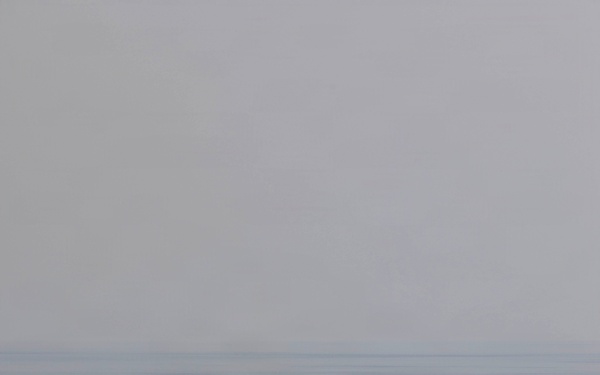 U.S., Japan Bilateral Exercise