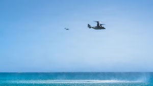 Pacific Pulse: April 08, 2024