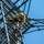 Elevating Readiness: Airmen Earn Climbing Certification