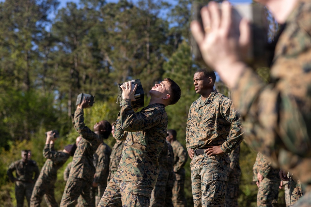 2nd Marine Logistics Group Headquarters and Service Battalion Warrior Festival